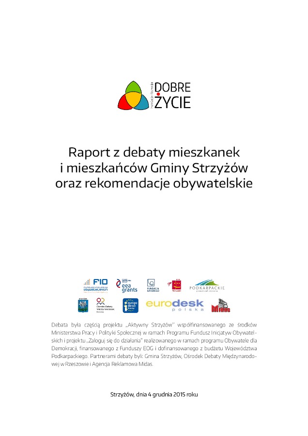 Raport z debaty, Strzyżów 2015